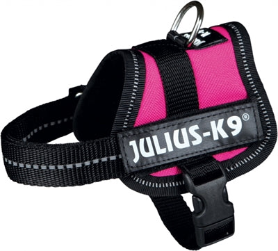 Julius K9 Power-Harnas / Harness Für Etiketten Fuchsia