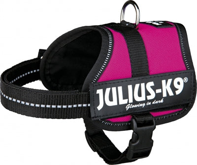 Julius K9 Power-Harnas / Harness Für Etiketten Fuchsia