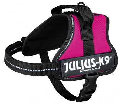 Julius K9 Power-Harnas / Harness Für Etiketten Fuchsia