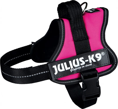 Julius K9 Power-Harnas / Harness Für Etiketten Fuchsia