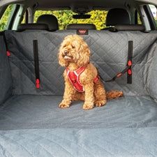 Kong Ultimative Cargo Auto Hundedecke