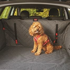 Kong Ultimative Cargo Auto Hundedecke