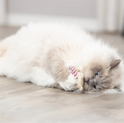 Trixie Bärenstoff Mit Katzenminze